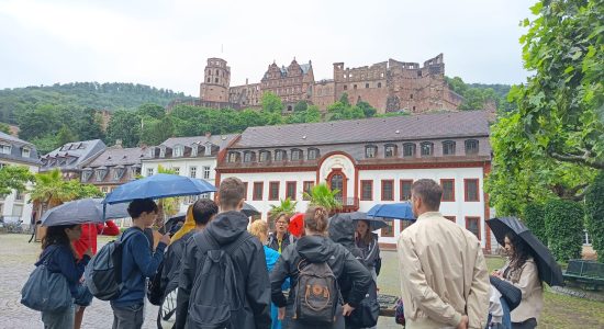 6 - Heidelberg